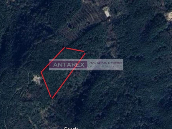 Plac 16.683 m² – Radanovići, Kotor — fotografija 2