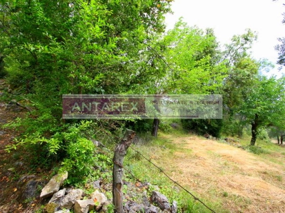 Plac 1.000 m² – Herceg Novi — fotografija 3