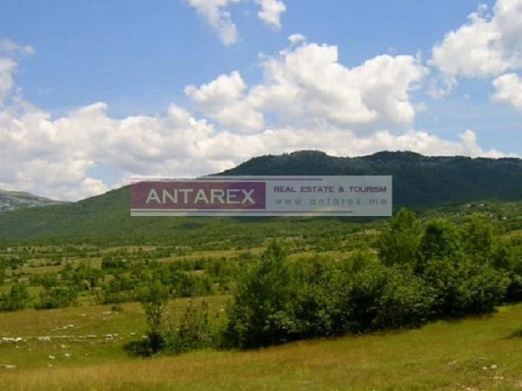 Plac 1.550.560 m² – Nikšić — fotografija 3
