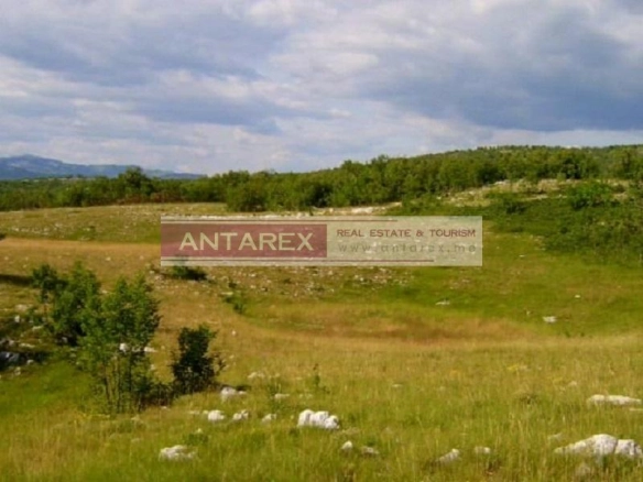 Plac 1.550.560 m² – Nikšić — fotografija 5