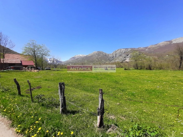 Plac 9.179 m² – Kolašin — fotografija 2