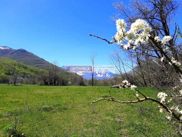 Plac 9.179 m² – Kolašin — fotografija 5