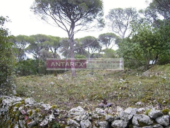 Plac 400 m² – Mirište, Herceg Novi — fotografija 3