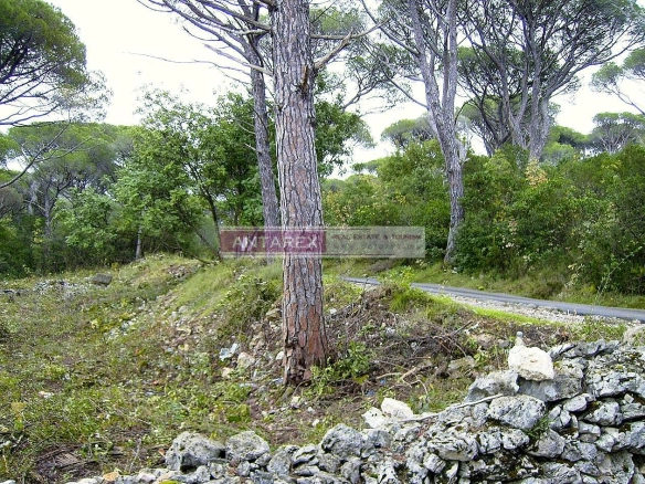 Plac 400 m² – Mirište, Herceg Novi — fotografija 4