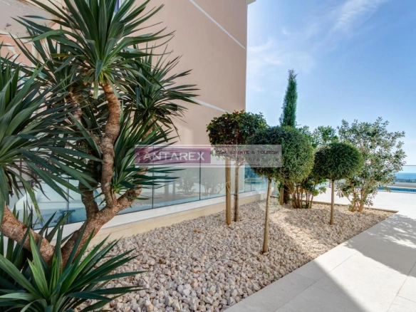Kuća 546 m² – Lazi, Budva — fotografija 14