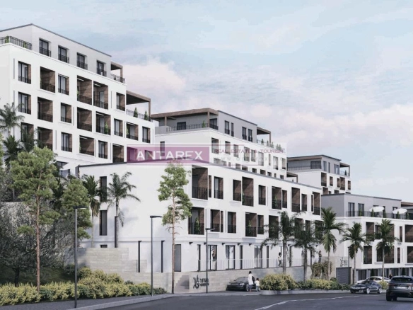 Garsonjera 25 m² – Tivat — fotografija 2