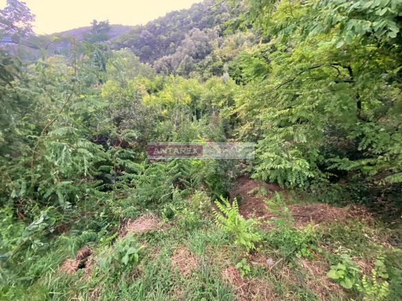 Plac 1.990 m² – Kamenari, Herceg Novi — fotografija 3