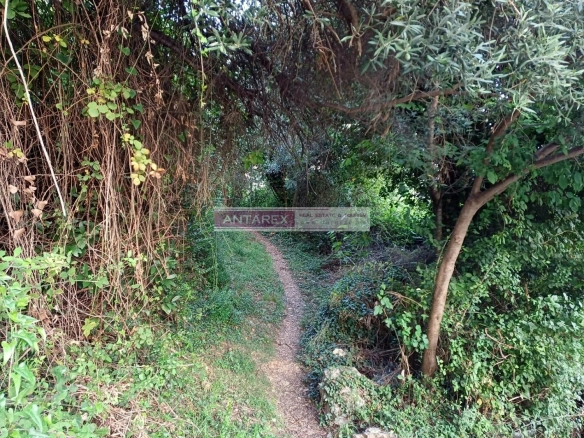 Plac 987 m² – Bijela, Herceg Novi — fotografija 5