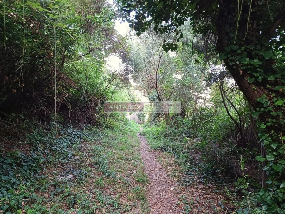 Plac 987 m² – Bijela, Herceg Novi — fotografija 7