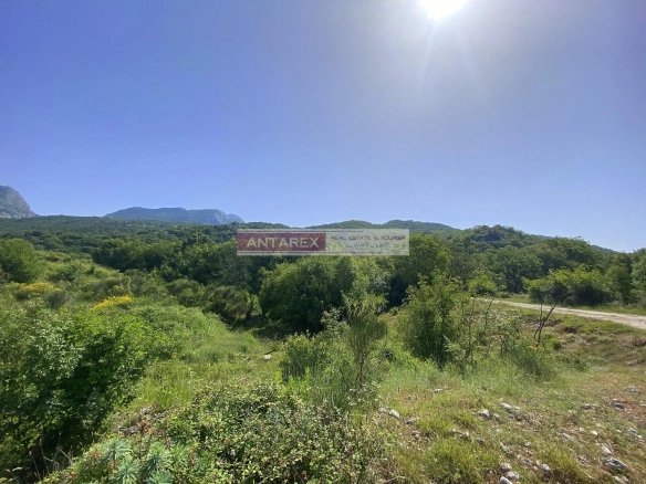 Plac 4.686 m² – Herceg Novi — fotografija 3