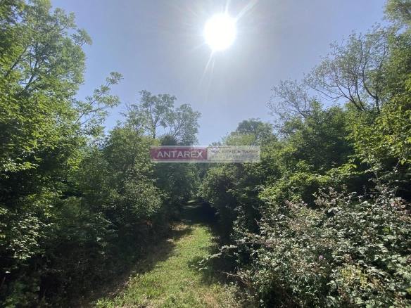 Plac 2.465 m² – Herceg Novi — fotografija 3