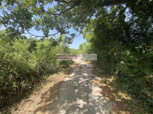 Plac 2.465 m² – Herceg Novi — fotografija 4