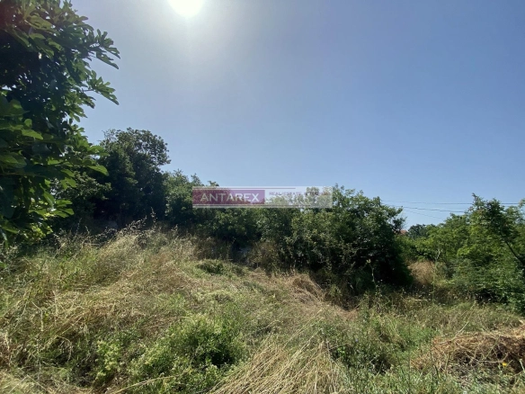 Plac 3.606 m² – Podi, Herceg Novi — fotografija 5