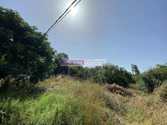 Plac 3.606 m² – Podi, Herceg Novi — fotografija 7