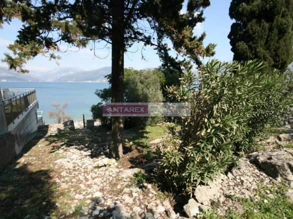 Poslovni prostor – Krašići, Tivat — fotografija 3