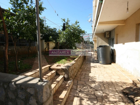 Poslovni prostor 980 m² – Radovići, Tivat — fotografija 5