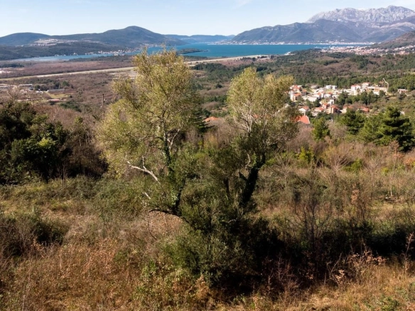 Plac 5.520 m² – Kotor — fotografija 6