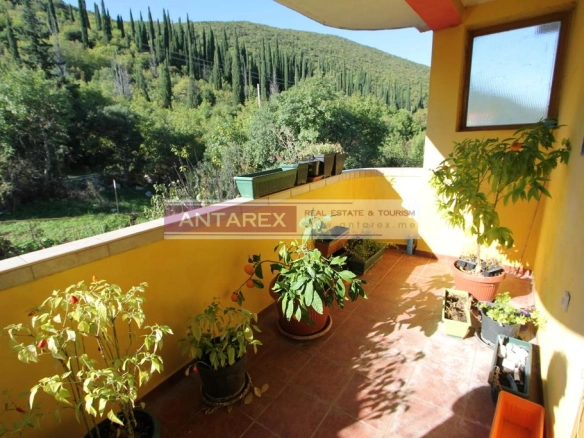 Kuća 246 m² – Herceg Novi — fotografija 8