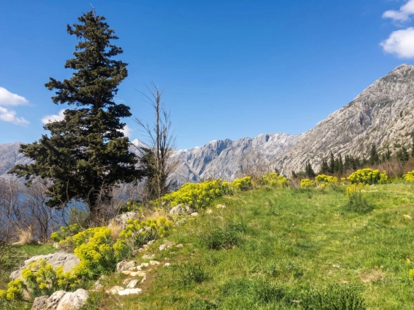 Plac 2.733 m² – Dobrota, Kotor — fotografija 10