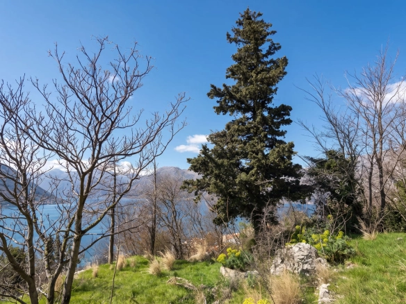 Plac 2.733 m² – Dobrota, Kotor — fotografija 13